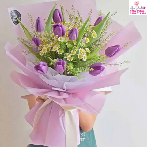 Tulip Tím Dịu Dàng