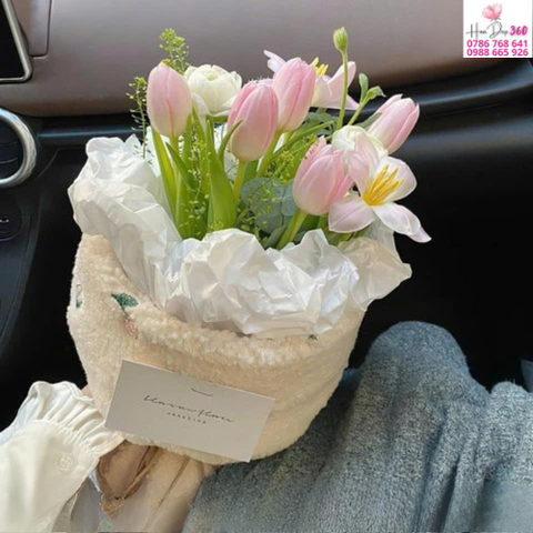 Tulip Hồng Pastel Ấm Áp