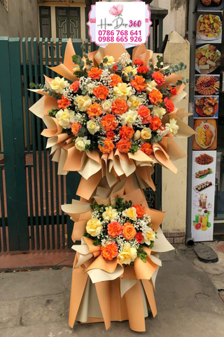 Hoa Khai Trương K113