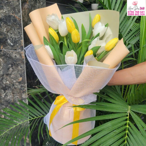 Tulip Vàng Trắng Thanh Xuân