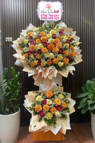 Hoa Khai Trương K161