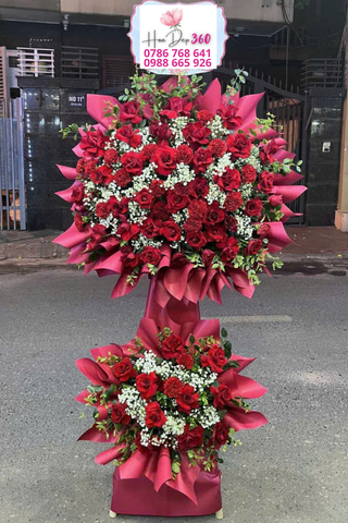 Hoa Khai Trương K165