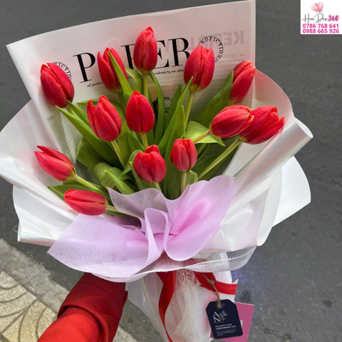 Tulip Đỏ Sang Trọng Gói Trắng Hồng