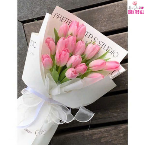 Tulip Hồng Nhẹ Nhàng Gói Trắng