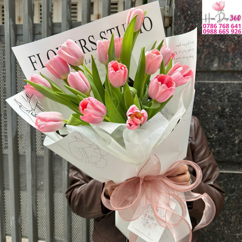 Tulip Hồng Thương Mến