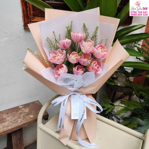 Tulip Hồng Thanh Nhã