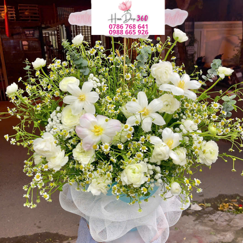Giỏ hoa chúc mừng G033