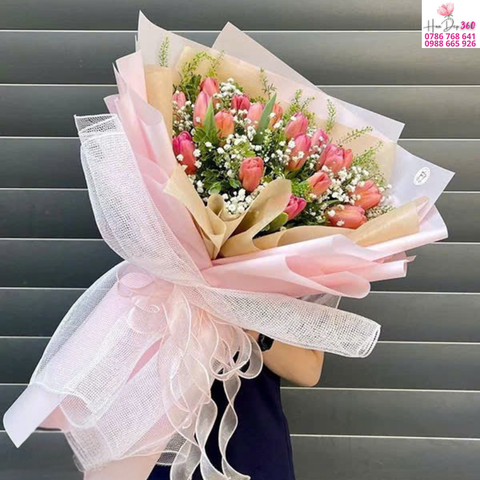 Tulip Hồng Ánh Sương