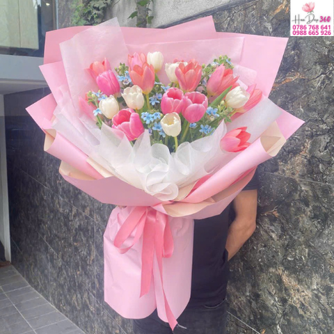 Tulip Hồng – Trắng Phối Hoa Xanh Dịu Dàng
