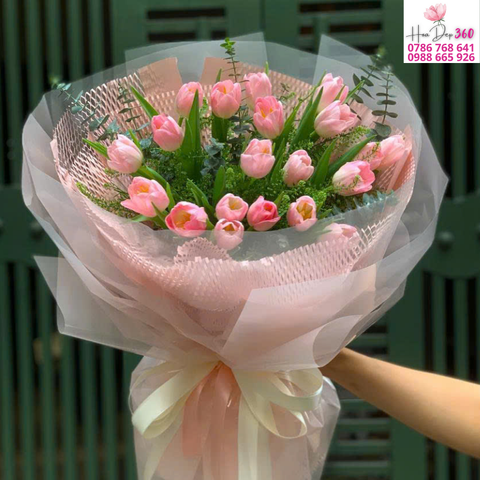 Tulip Hồng Phấn Ngọt Ngào