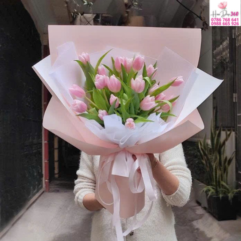 Tulip Hồng Pastel Dịu Dàng