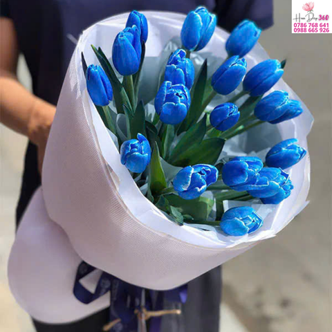 Tulip Xanh Dương Thanh Lịch