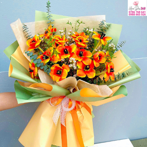 Tulip Cam Rực Rỡ Cá Tính