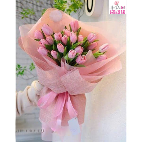 Tulip Hồng Dịu Dàng