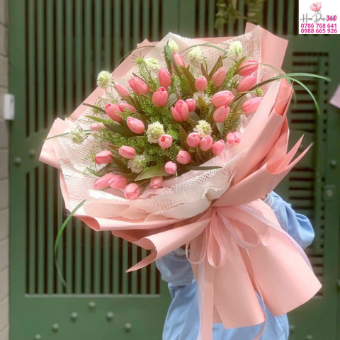 Tulip Hồng Phấn Dịu Dàng