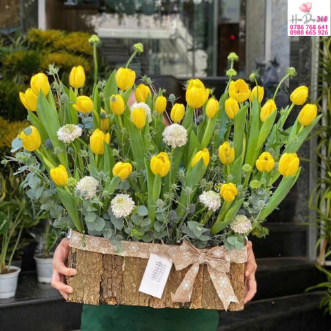 Hộp Hoa Tulip Vàng Rạng Rỡ