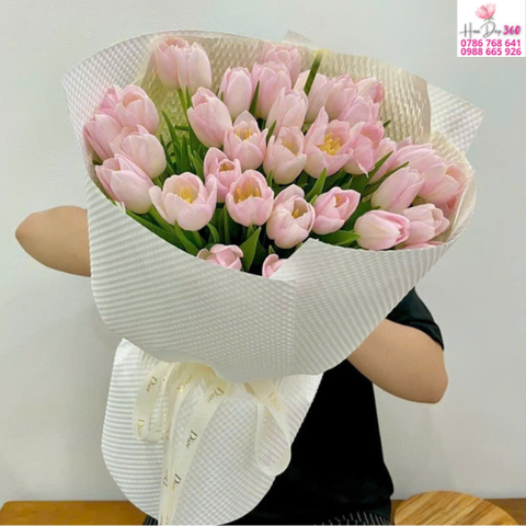 Tulip Hồng Ngọt Ngào