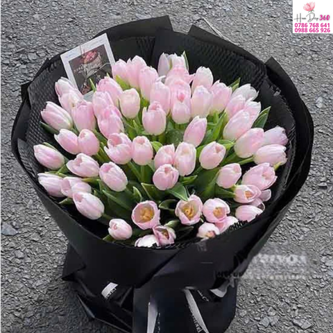 Tulip Hồng Sang Trọng Đêm Đen