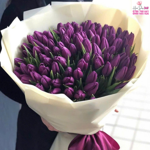 Tulip Tím Quyền Lực Sang Trọng