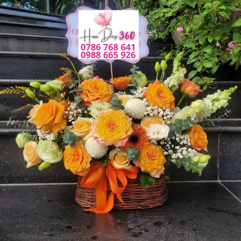 Giỏ hoa chúc mừng G050
