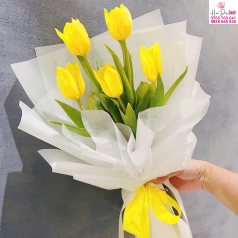 Tulip Vàng Rạng Vui