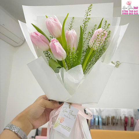 Tulip Hồng Dịu Nhẹ