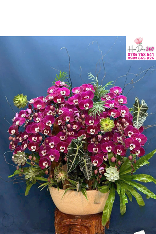 Lan Hồ Điệp Tím Rượu Phối Lá Nghệ Thuật Sang Trọng