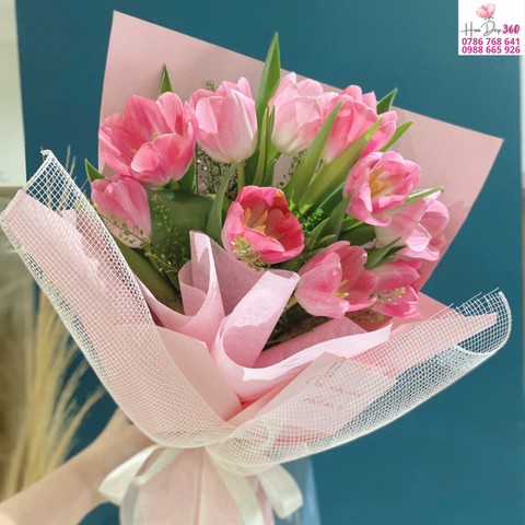 Tulip Hồng Ngọt Dịu