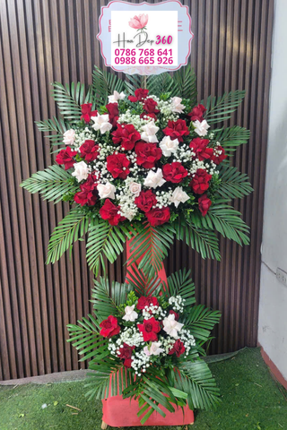 Hoa Khai Trương K062