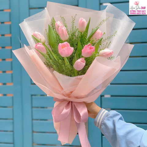 Tulip Hồng Sương Mai