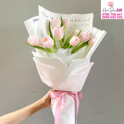 Tulip Hồng Tinh Sương