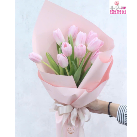 Tulip Hồng Mịn