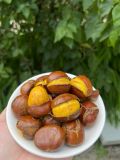  HẠT DẺ RANG SẴN 