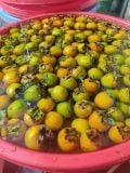  HỒNG VÀNH KHUYÊN NGÂM 