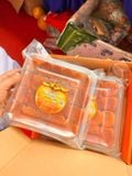  Hồng vành khuyên treo gió 