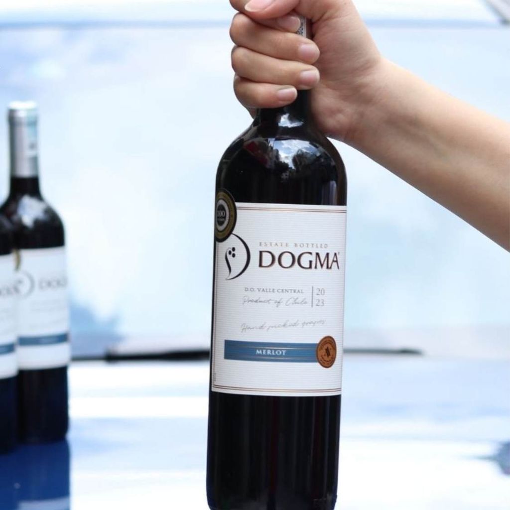 Rượu Vang Đỏ Dogma Merlot 750ml Viña Aromo 13.5%