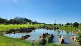  COMBO STAY&PLAY ROYAL NINH BÌNH (TRONG TUẦN) - 2N1Đ 