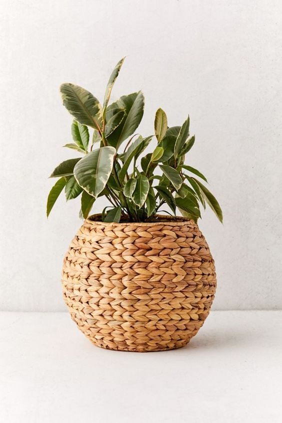  Handcrafted Natural Water Hyacinth Plant Pot - POT_NCV003 
