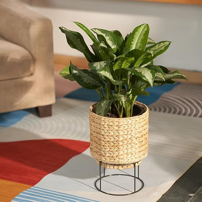  Handcrafted Water Hyacinth Pot with Metal Stand - POT_NCV007 