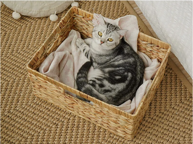  Natural Handcrafted Water Hyacinth Storage Basket - BA_NCV054 