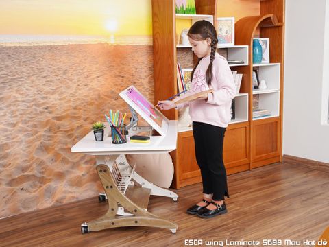 Bàn Học Thông Minh Esca  Wing 5688