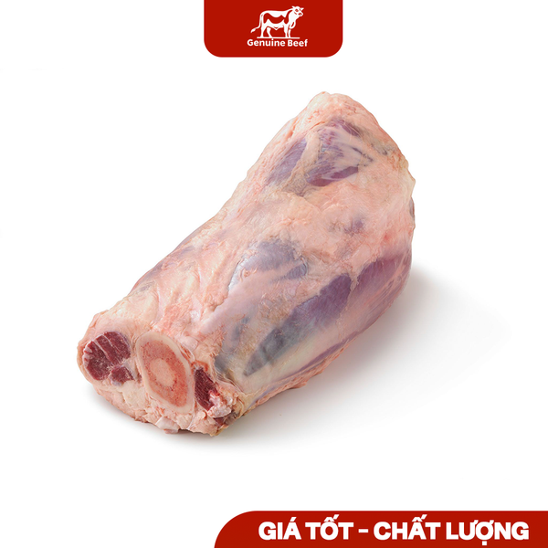  Bắp bò sau 