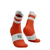  Tất Thể Thao Compressport Pro Racing Socks v4.0 Run High - Tigerlily/White 