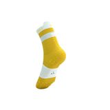  Tất Thể Thao Compressport Pro Racing Socks v4.0 Run High - Vàng Lemon/White 