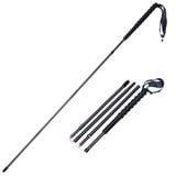  Gậy Leo Núi Zenone - Carbon 