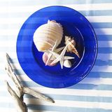  Bộ 3 dĩa D3678LF Duralex -  Lys Xanh Saphir 3 size Thủy tinh cường lực cao cấp Pháp [Chính Hãng] 