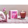  Bộ 6 ly D1027J Duralex - Picardie tím Plum 250ml Thủy tinh cường lực cao cấp Pháp [Chính Hãng] 