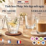  Bộ 4 ly D4102M Duralex - Picardie 250ml + Versailles 260ml Thủy tinh cường lực cao cấp Pháp [Chính Hãng 