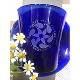  Bộ 6 ly thủy tinh cường lực Pháp Duralex Lys xanh Saphir Thông Điệp của Nước 210ml [Chính Hãng] 