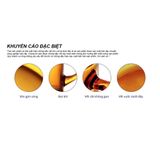  Bộ 6 dĩa D3011D Duralex - lys vàng Amber 23 cm Thủy tinh cường lực cao cấp Pháp [Chính Hãng] 